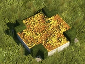 Yellow Flowerbed - variant 4