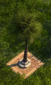 Palm Tree - Variation 2