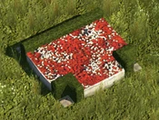 Red Flowerbed - variant 5