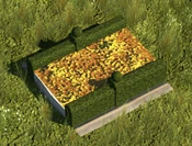 Yellow Flowerbed - variant 1