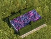 Purple Flowerbed - variant 1
