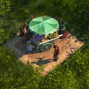 Tropical Fruit Stall