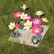 Fairy Flowers - Variation 2