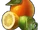 Citrus