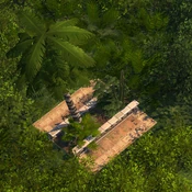 Exotic Flowerbed - Variation 1