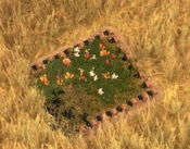 Flowerbed2Screenshot.png (159 KB) Flowerbed - variant 2