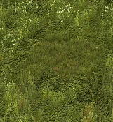 Grass - Variation 5