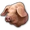 Pigs