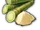 Sugar Cane
