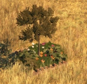 Flowerbed7Screenshot.png (259 KB) Flowerbed - variant 7