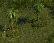 Palm Tree - variant 3