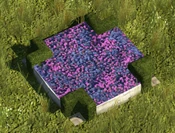 Purple Flowerbed - variant 4