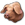Link=Schweinefarm