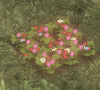 FlowBed.jpg
