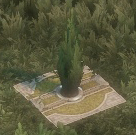 Copsse.jpg