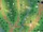 Northward Region
