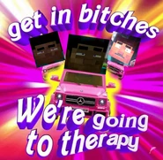 Petition to get Steve therapy