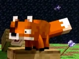 Fox Captain