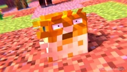 Joe being angry at Shadow's Herobrine lack of interest