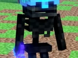 Wither Skeletons
