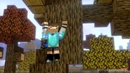 Lucia climbing a tree