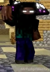 Swordsman Herobrine