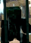 The Chestplate darkened out and ceased glowing in Annoying Villagers 55