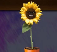 BeFunky untitled4.jpg (11 KB)