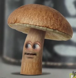 AO Mushroom
