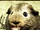 Charlie the Guinea Pig