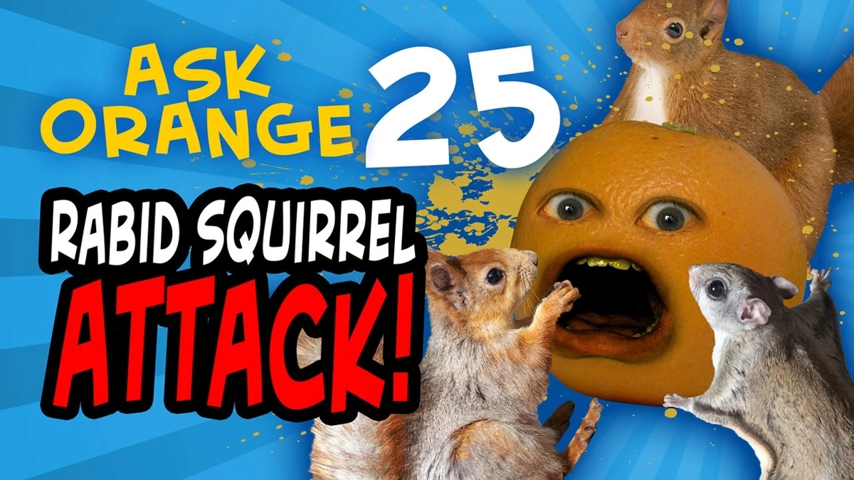 Rabid squirrels Annoying Orange Wiki Fandom