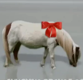 Wii Pony