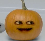 Midget Pumpkin