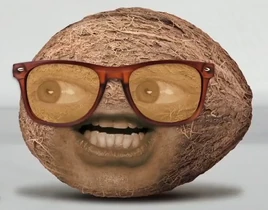 CoconutGlasses