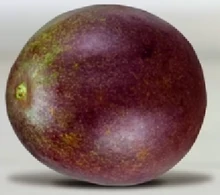 Inanimate Passion Fruit