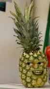Pineapple