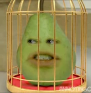 Pear in a cage