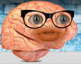 Brain