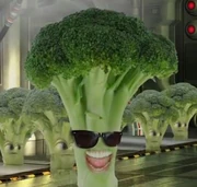Broccoli