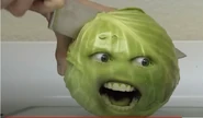 Cabbage getting knifed