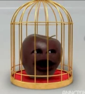 Picture5.png (37 KB)