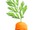 Baby Carrot (Happy Birthday Cards from Annoying Orange)