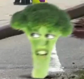 CityBroccoli