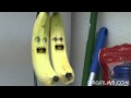 Bananas