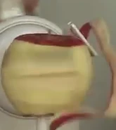 Nude Dude being peeled