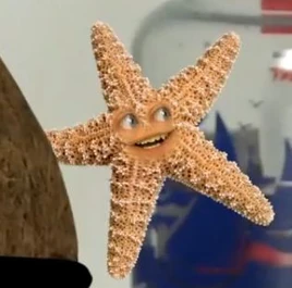 Starfish