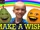 Annoying Orange: HOW2: How to Make-A-Wish Come True!