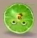 Lime Slice/Gallery | Annoying Orange Wiki | Fandom