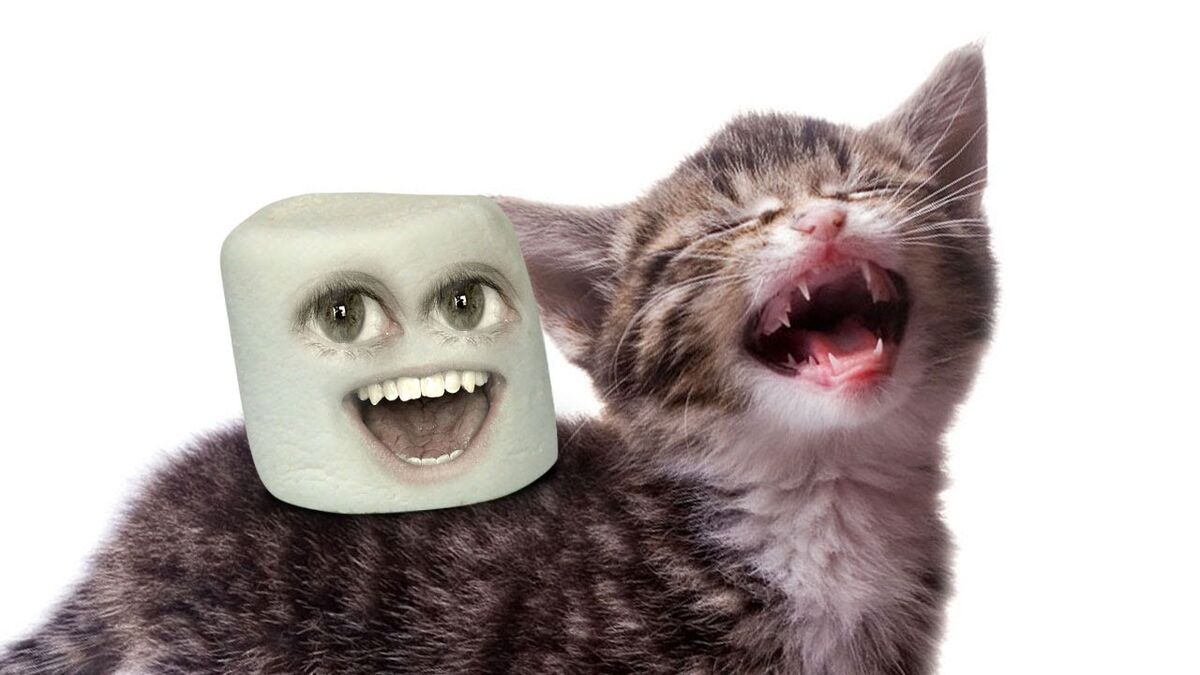Annoying Orange: Marshmallow Pic Contest Winners! | Annoying Orange ...