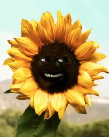 Sunflower Annoying Orange Wiki Fandom
